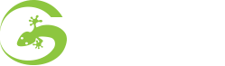 Gecko Logistics